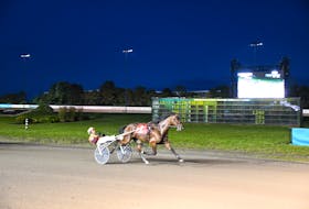 Scott Young drives Covered Bridge to a 1:51.2 victory in Gold Cup and Saucer Trial 2 at Red Shores Racetrack and Casino at the Charlottetown Driving Park on Aug. 12. Gail MacDonald Photo • Special to The Guardian