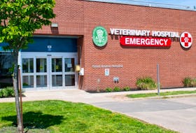 The Atlantic Veterinary College in now offering estimated wait times for its small animal emergency service. - Contributed