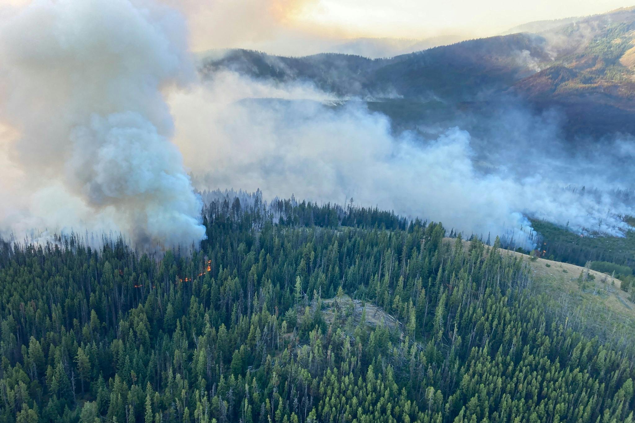 Canadian Wildfire Threatens Towns, Govt Orders Evacuations | SaltWire