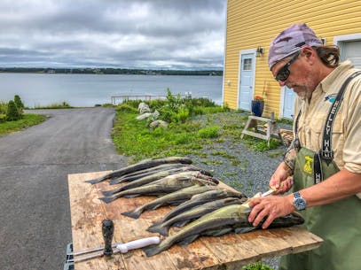 PAUL SMITH: Imaginary rod in hand, preparing to embrace the dreaded dangle  and hook that elusive Atlantic salmon