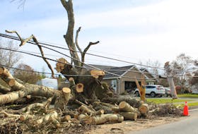Wire and tree damage from post-tropical storm Fiona along Brookside Street in Glace Bay in September 2022. IAN NATHANSON/CAPE BRETON POST