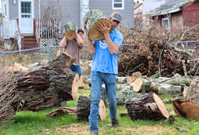 Old Colony Mennonite Church students from southwestern Ontario remove tree trunks and debris from a Glace Bay home following post-tropical storm Fiona last fall. CONTRIBUTED