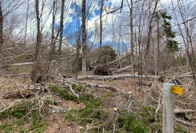 Downed trees from post-tropical storm Fiona can cause a number of significant issues, including wildfires. Don Cameron