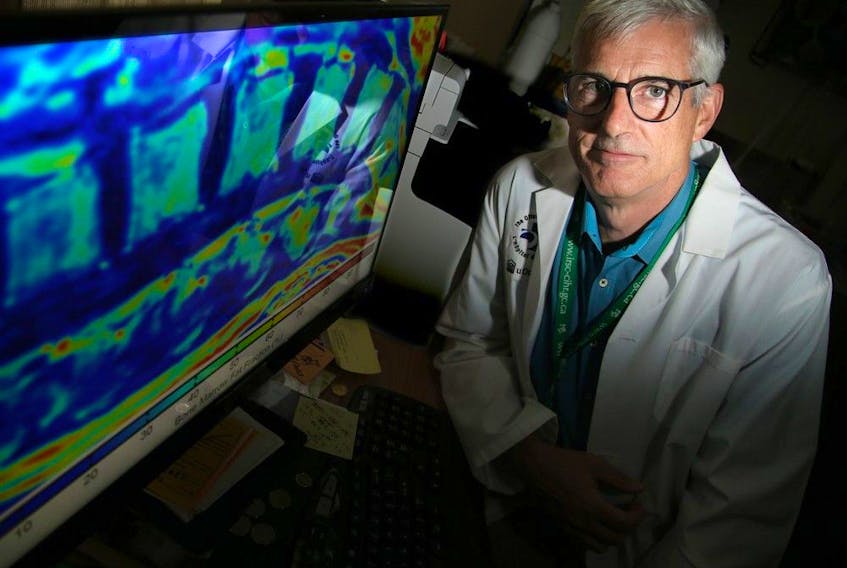 Dr. Guy Trudel is seen here with an MRI of an astronaut's spine. Trudel and his team at The Ottawa Hospital have published new research exploring how astronauts recover bone density and red blood cells lost during extended time in space.