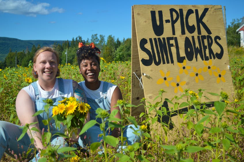 How 9,000 sunflowers became a symbol of joy and inclusivity in Cape Breton