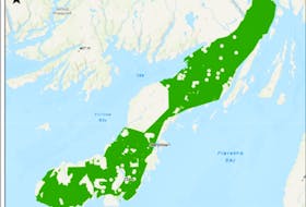 EverWind is proposing a wind energy project to produce and export hydrogen/ammonia from facilities on the Burin Peninsula. It has the largest approved bid area of all proponents at 268,319 hectares, or most of the Burin Peninsula, as shown in green on the map. -Computer screenshot