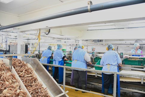Workers process crab on the assembly line at the Ocean Choice International plant in Bonavista during the 2023 season. FFAW photo.
