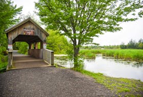 Part of the funding will be used to increase the accessibility at Gateway Wetland Trail and improve the signage at the nearby visitor information centre. - Arielle DeMerchant/ Treasured Wetlands of New Brunswick Facebook