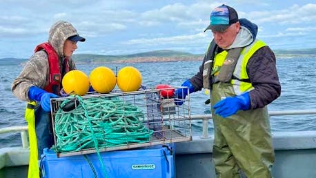 P.E.I. fishers not mandated to use lower-breaking strength fishing gear  this year