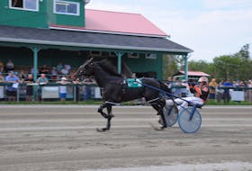 Rotten Ronnie and driver Redmond Doucet won the Saturday afternoon feature at Northside Downs in 1:56.1. CONTRIBUTED/CHRIS ABBASS