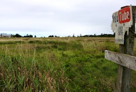 Developer Tim Banks may soon begin to build on this field, located right next to a beach access pathway within P.E.I. National Park at Greenwich. The province granted Banks a development permit in July, however Banks says he has since been denied a building permit. Stu Neatby • The Guardian