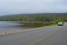 Blacketts Lake, home to the northernmost population of the yellow lampmussel, is downhill from the proposed site of the Coxheath copper mine and an area of concern for Keep Coxheath Clean, the main group opposing mine. MITCHELL FERGUSON/CAPE BRETON POST