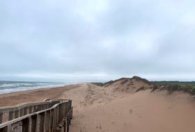 The sand dunes at Brackley Beach are regaining stability and size amid continued care by Parks Canada.