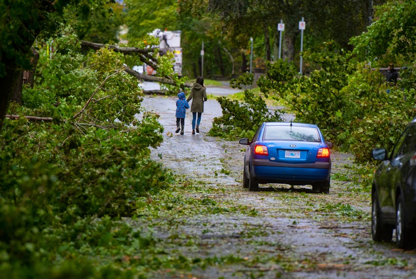 Trees and branches litter Point Pleasant Drive after post-tropical storm Fiona passed through Halifax on Saturday, Sept. 24, 2022.
Ryan Taplin - The Chronicle Herald