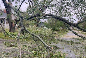 A large Norwegian maple on Jocelyne Lloyd's property dropped branches all over her home's and her neighbours' power and telecommunication lines following post-tropical storm Fiona Sept. 23-24, 2022. Jocelyne Lloyd • SaltWire