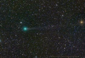 Will Comet Nishimura become visible to the unaided eye? Given the unpredictability of comets, no one can say for sure, but it currently seems like a good bet. The comet was discovered by Hideo Nishimura during 30-second exposures with a standard digital camera. - Dan Bartlett/NASA