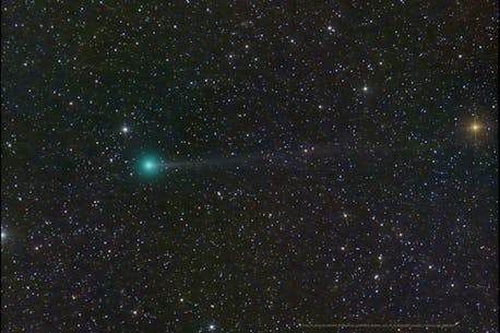 ATLANTIC SKIES: Comet Nishimura is coming, and there's a good shot you'll be able to see it without a telescope
