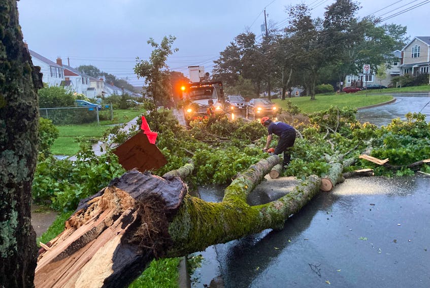 Hurricane Lee left its mark on Halifax this past weekend. A crew removes a fallen tree on Connaught Avenue Saturday evening.