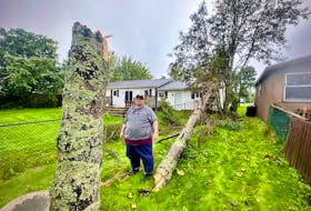 Leslie Fall, who is a West Royalty resident, stands next to his 40-year-old, roughly 60-foot pine tree that had snapped and tumbled down due to strong winds on Sept. 16. Thinh Nguyen • The Guardian