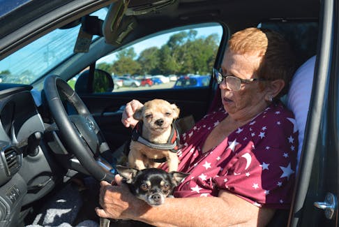 Gail Maloney and her two therapy dogs have been living in a car  on the Sydney Waterfront since July.  BARB SWEET/CAPE BRETON POST