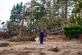 The campground and paths at Rissers Beach, seen in this photo taken on Monday, Sept. 18, 2023, were significantly damaged by Tropical Storm Lee.
Ryan Taplin - The Chronicle Herald