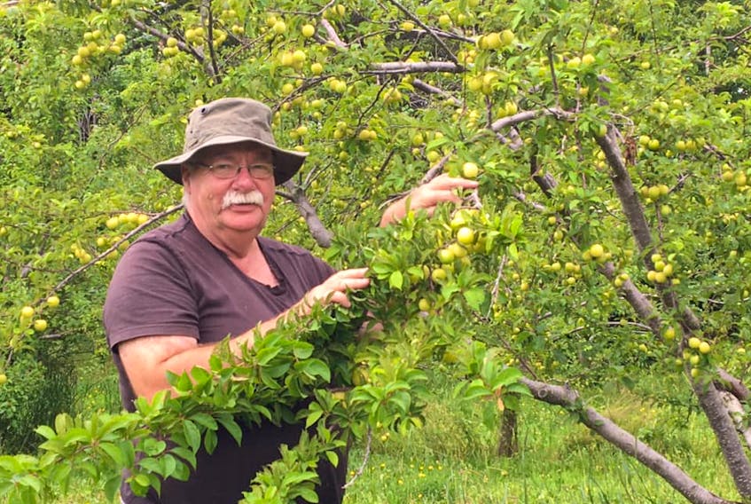 Barry Balsom, owner of Arlington Orchards, said that even though they are still working to recover losses from post-tropical storm Fiona, this year had an 'excellent' crop.