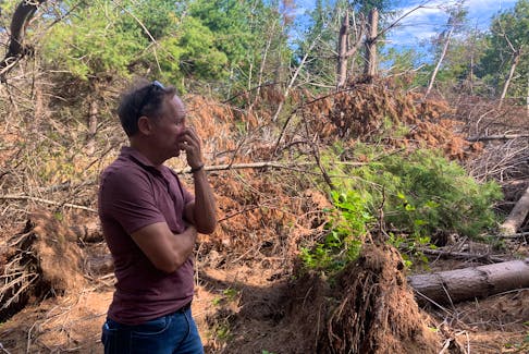 Stuart Hickox stands amidst the largest pocket of damage in his woodlot where a stand of trees was knocked down during post-tropical storm Fiona. Caitlin Coombes • The Guardian