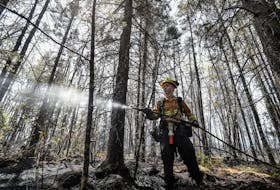 DNRR firefighter Kalen MacMullin of Sydney in the woods of Shelburne County during the Barrington Lake wildfire. COMMUNICATIONS NOVA SCOTIA