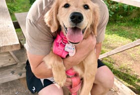Kyle Jessome and his five-month-old golden retriever, Peach, on a recent visit to Groves Point Provincial Park. CONTRIBUTED