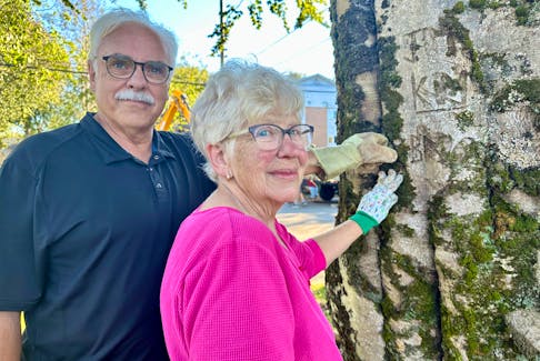 Yarmouth residents John and Barb MacDonald pass their hands over initials of families and friends that were carved into a massive beech tree in front of their home. A huge section of the tree was brought down during post-tropical storm Lee. The community turned out to help with the cleanup. TINA COMEAU