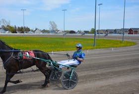Driver Corey MacPherson warms up a horse before a race at Red Shores at Summerside Raceway earlier this season. MacPherson reached and passed 1,500 career driving victories on a harness racing card in Summerside on Sept. 20. Jason Simmonds • The Guardian