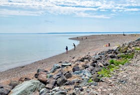 Bass River Beach in Bass River, N.S. For some, the beach is for swimming. Others, fishing. For columnist Danny Joseph, it's a refuge for reading. Mercedes Blair