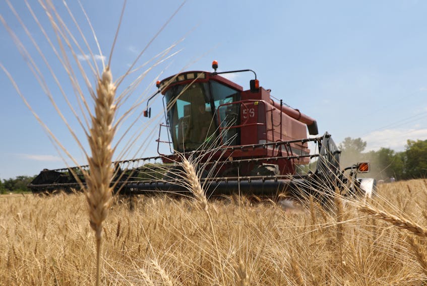 By Sarah El Safty and Michael Hogan CAIRO (Reuters) - Egypt is in talks with an Abu Dhabi-based bank for a loan facility that would finance wheat purchases from Kazakhstan, three traders told Reuters.