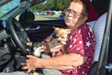 Gail Maloney and her two therapy dogs have been living in a car on the Sydney waterfront since July. BARB SWEET