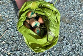 Poison stuffed sausages were found spread across walking trails in Airport Heights posing risk for animals and children.