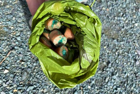 Poison stuffed sausages were found spread across walking trails in Airport Heights posing risk for animals and children.