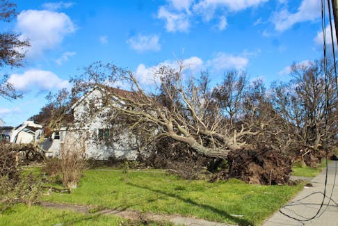 Trees damaged this home on Sterling Road in Glace Bay shown on Sunday, Sept. 25, 2022 following post-tropical storm Fiona. IAN NATHANSON/CAPE BRETON POST