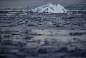 By Jake Spring (Reuters) - Sea ice that packs the ocean around Antarctica hit record low levels this winter, the U.S. National Snow and Ice Data Center (NSIDC) said on Monday, adding to scientists'