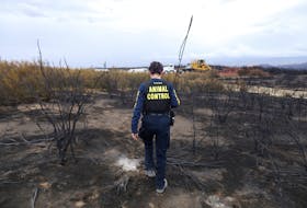 By Daniel Trotta (Reuters) - California is on the verge of recording a second straight year of relatively mild wildfire damage, after historic rains put the state on track to avoid the calamities of