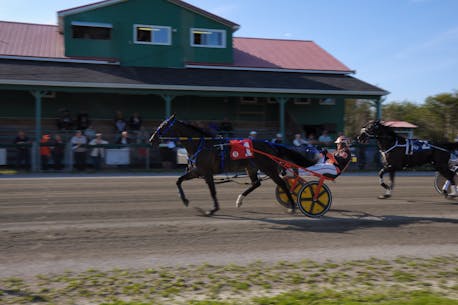 QTS Charlie victorious again at Cape Breton's Northside Downs