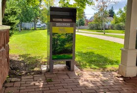 A secure needle disposal box in Summerside’s Heather Moyse Park. Colin MacLean