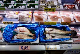 (Reuters) - Russia is considering joining China in banning Japanese seafood imports after Japan released treated radioactive water from the wrecked Fukushima nuclear power plant into the sea and is