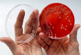 By Nancy Lapid (Reuters) - An antibiotic already in use in Europe to treat pneumonia controlled deadly bloodstream infections with Staphylococcus aureus bacteria just as effectively as the most