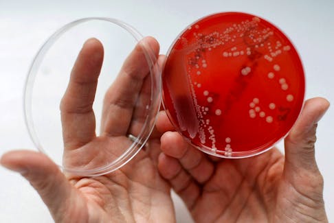 By Nancy Lapid (Reuters) - An antibiotic already in use in Europe to treat pneumonia controlled deadly bloodstream infections with Staphylococcus aureus bacteria just as effectively as the most