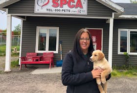 Bonnie Learning, vice-president of the Happy Valley-Goose Bay SPCA, would like to see the animal shelter receive more core funding to help ensure it can operate all year long. Contributed