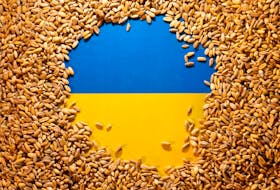 WARSAW (Reuters) - Talks with Ukraine about grain imports are on track, the Polish agriculture minister said on Wednesday, after a dispute between the two countries over Warsaw's decision to extend a