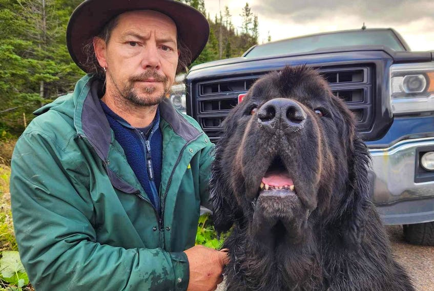 Brad Young of Bonne Bay Pond was glad to find his Newfoundland dog, Jacapo, five days after the dog ran away from a car accident in Gros Morne National Park. Contributed