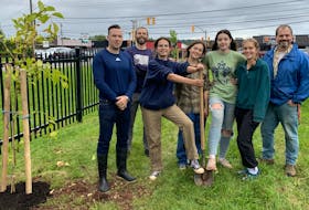 CEC Envirothon team members planting trees with community helpers. From left, Fraser White (BMO), Ian McGrath (Living Earth Council), Andrea Bacau, Blair Lambert, Selena Benjamin, Becca Cook, and Aaron Elser. Not pictured are Sappho Thompson and Carrie Ashton. Contributed