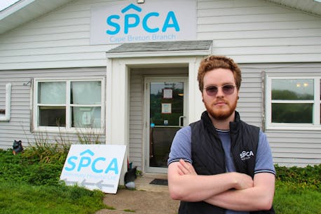 Cape Breton SPCA shelter, hospital hit with at least one break-in