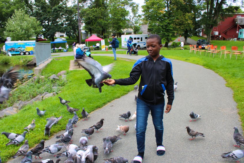 Akoykunim Oladipo, 10, was enjoying himself at Wentworth Park in Sydney on Aug. 31. There with his mother and brother, Oladipo was feeding the ducks seeds, when some started flying into his hand and perching on his arms to get the food first. NICOLE SULLIVAN/CAPE BRETON POST